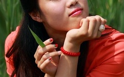 新金瓶梅下载地址